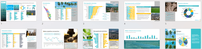 Reports & Dashboards